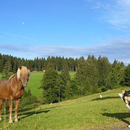 Hoehengasthaus Kolmenhof An Der Donauquelle Фуртванґен Екстер'єр фото