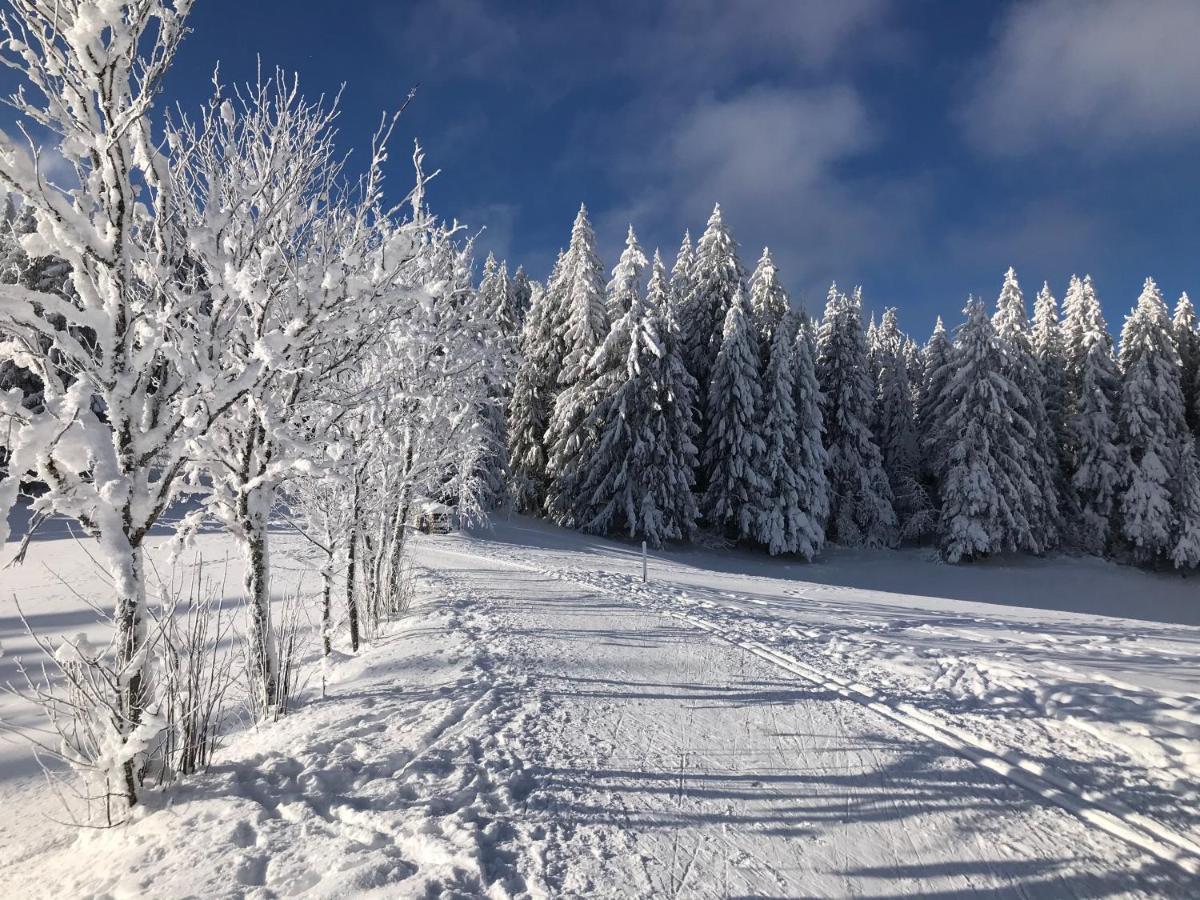 Hoehengasthaus Kolmenhof An Der Donauquelle Фуртванґен Екстер'єр фото