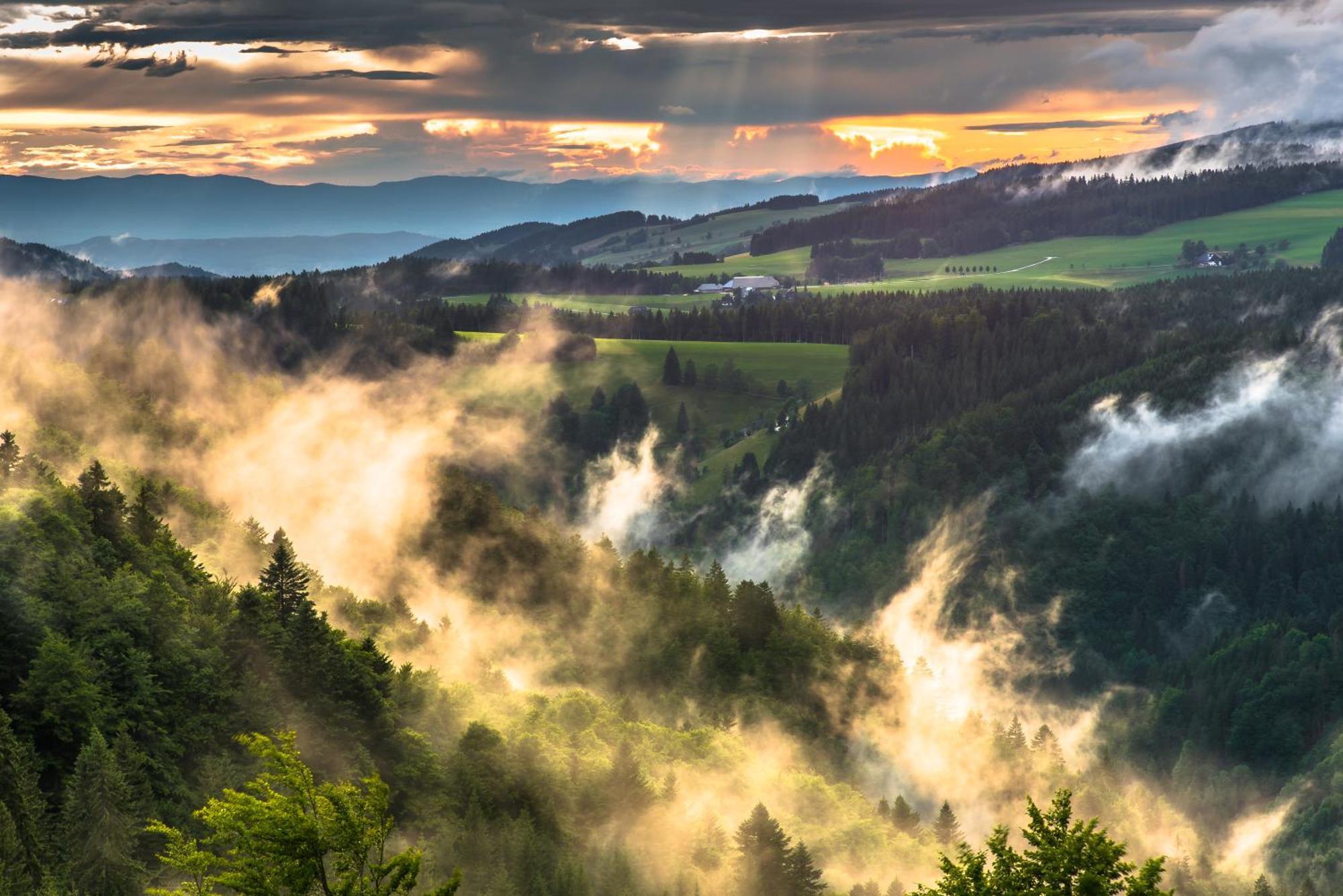 Hoehengasthaus Kolmenhof An Der Donauquelle Фуртванґен Екстер'єр фото