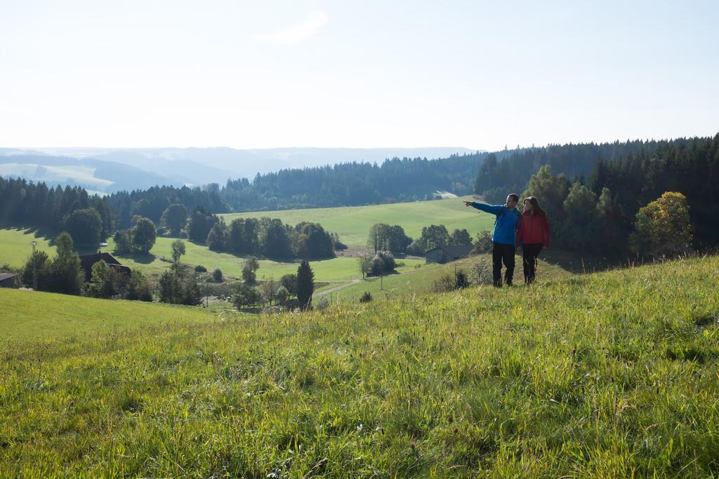 Hoehengasthaus Kolmenhof An Der Donauquelle Фуртванґен Екстер'єр фото