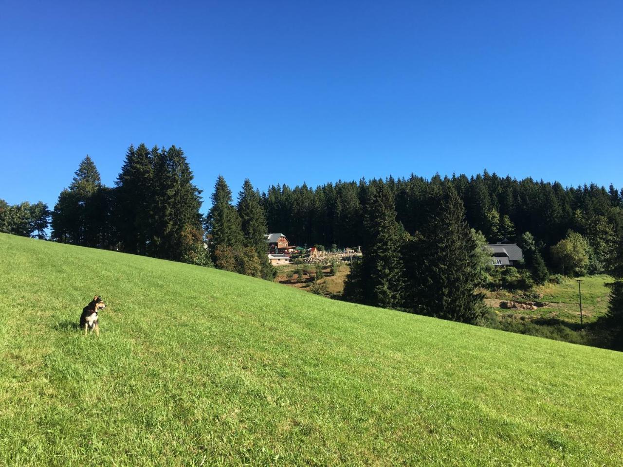 Hoehengasthaus Kolmenhof An Der Donauquelle Фуртванґен Екстер'єр фото